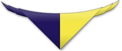 55th Cork neckerchief in purple and yellow